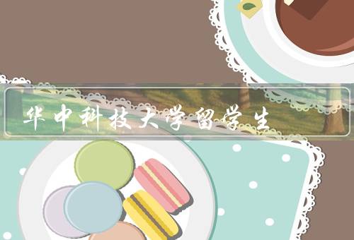 华中科技大学留学生，数量／生活／支持