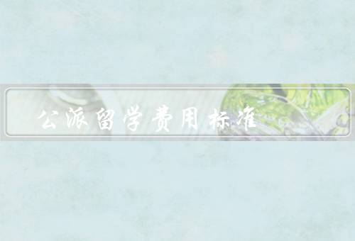 公派留学费用标准（组成、标准、管理和监督）