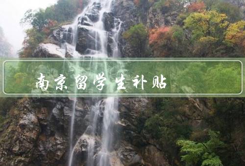 南京留学生补贴，背景、内容、效果