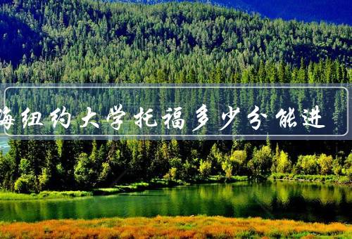 上海纽约大学托福多少分能进（托福考试的重要性）
