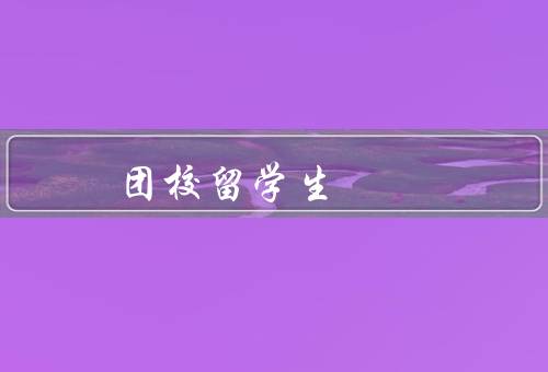 中央团校留学生（培养模式、内容、成果）