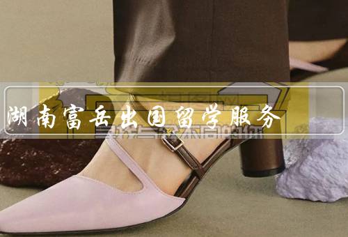 湖南富岳出国留学服务中心，留学咨询／申请服务／签证服务