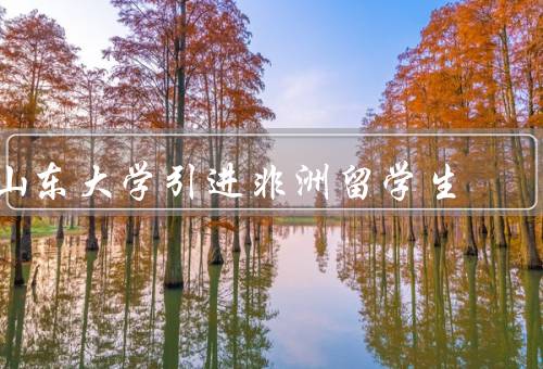 山东大学引进非洲留学生（引进非洲留学生的背景）