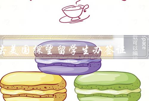 去美国探望留学生办签证