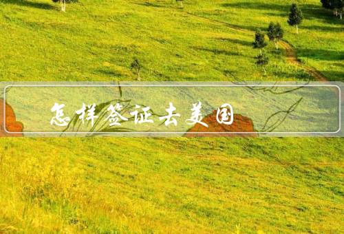 怎样签证去美国（准备材料／在线申请／面试和审查）