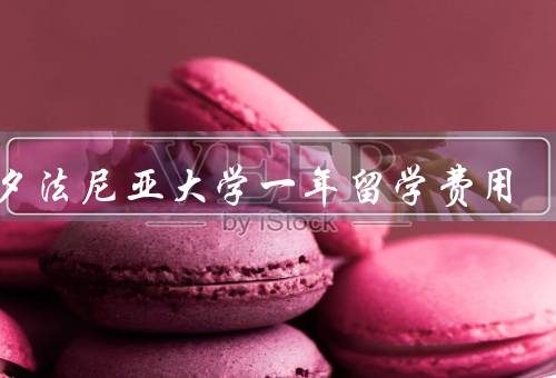 宾夕法尼亚大学一年留学费用，学费、生活费、经济支持