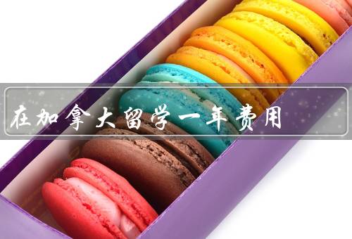 在加拿大留学一年费用（留学费用、财务计划、经济实惠的选择）
