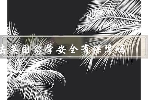 去英国留学安全有保障吗，英国治安状况／学校保障措施