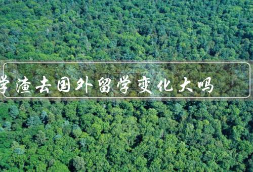 学渣去国外留学变化大吗