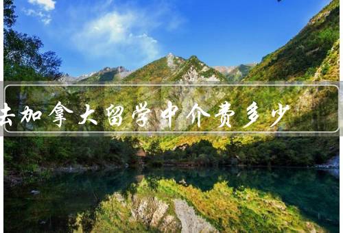 去加拿大留学中介费多少（构成、标准、如何选择中介机构）