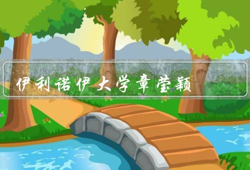 伊利诺伊大学章莹颖，章莹颖的失踪／全球关注和搜寻行动