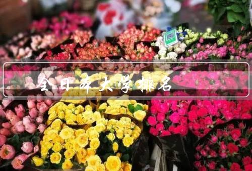 全日本大学排名，全日本大学排名／前列的大学／影响与争议