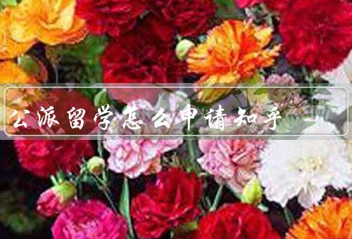 公派留学怎么申请知乎，申请条件／选择留学项目／申请材料准备