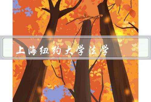 上海纽约大学法学，法学专业的课程设置、师资力量、实践机会