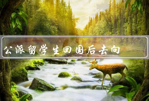 公派留学生回国后去向