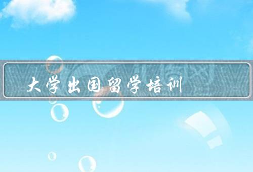 大学出国留学培训中心，留学申请指导、语言培训、文化适应培训