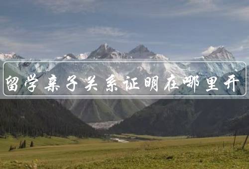 出国留学亲子关系证明在哪里开，户籍所在地派出所
