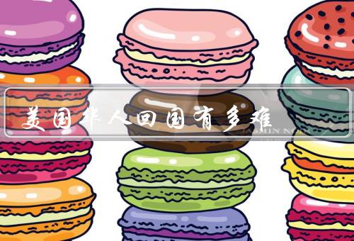 美国华人回国有多难，签证问题／文化适应／职业转换