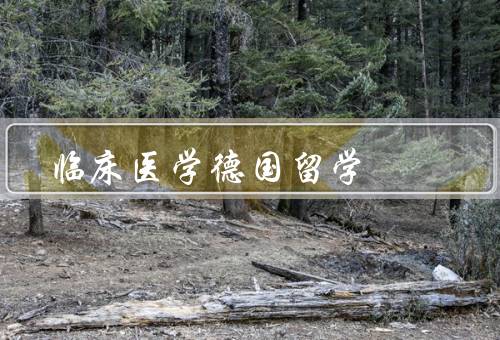 临床医学德国留学，教育体系、就业前景、留学优势