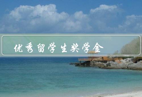 优秀留学生奖学金，价值／选拔标准／影响