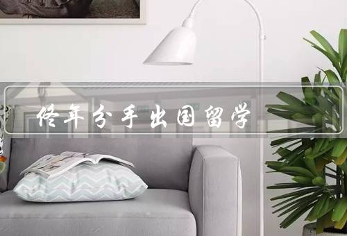 佟年分手出国留学（原因、对事业发展的影响、个人成长的角度）