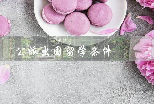 公派出国留学条件（条件、流程、奖学金与资助）