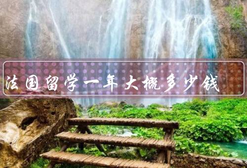 去法国留学一年大概多少钱（生活费、学费、住宿费）