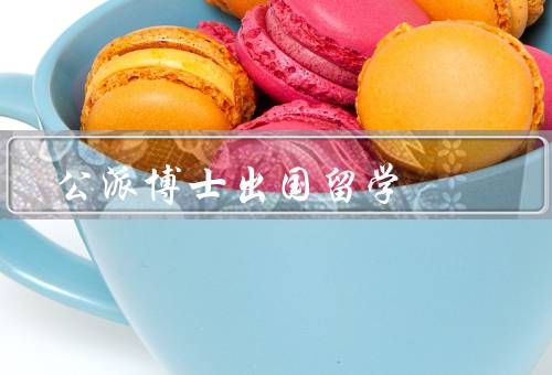 公派博士出国留学（提升学术水平、拓宽国际视野、促进个人成长）