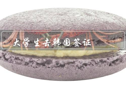 大学生去韩国签证，签证材料准备／面试准备／注意事项
