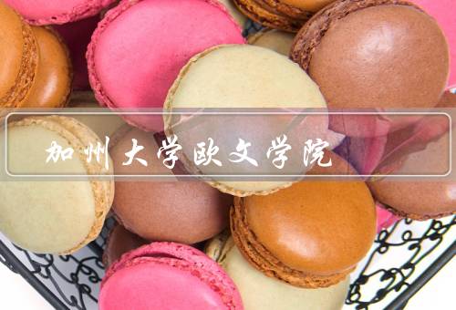 加州大学欧文学院，历史背景／教学优势／研究领域