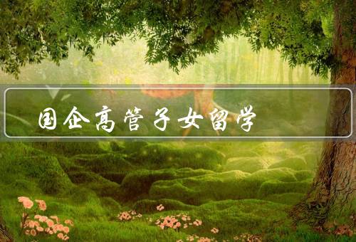 国企高管子女留学（背景、优势、挑战）