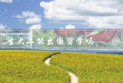 专科生大二能出国留学吗，留学的机会／学习能力和成绩