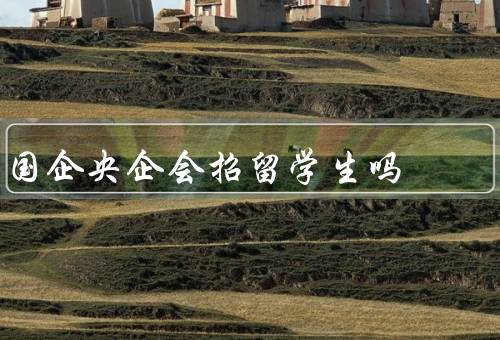 国企央企会招留学生吗，留学生的专业知识／培养优秀人才