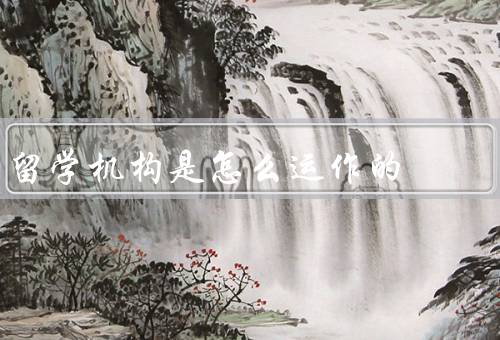 留学机构是怎么运作的（学生咨询／选校申请／签证办理）