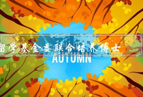 国家留学基金委联合培养博士，中外合作，提升研究生培养质量