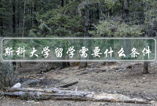 去莫斯科大学留学需要什么条件（语言能力、学术能力、资金能力）