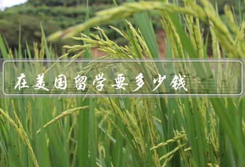 在美国留学要多少钱，学费、生活费、保险费和其他费用