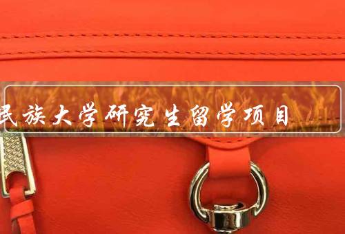 中央民族大学研究生留学项目（背景／特点／成果）
