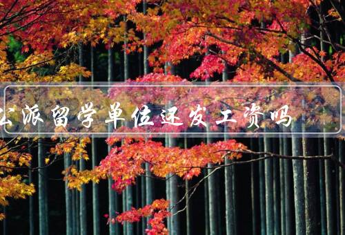 公派留学单位还发工资吗（基本情况、是否发放工资、工资的发放方式）