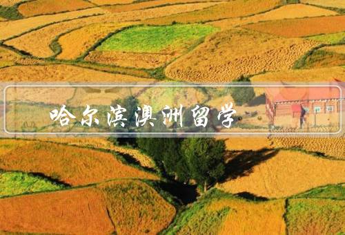 哈尔滨澳洲留学（学术环境优越、多元文化体验、就业机会广阔）
