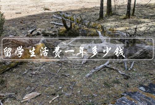俄罗斯留学生活费一年多少钱，住房费用／学费／生活费