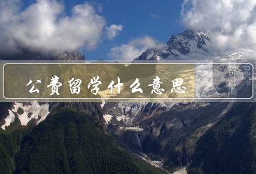 公费留学什么意思（意义、申请流程、影响）