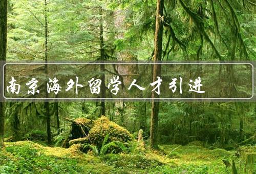 南京海外留学人才引进（政策、回归）