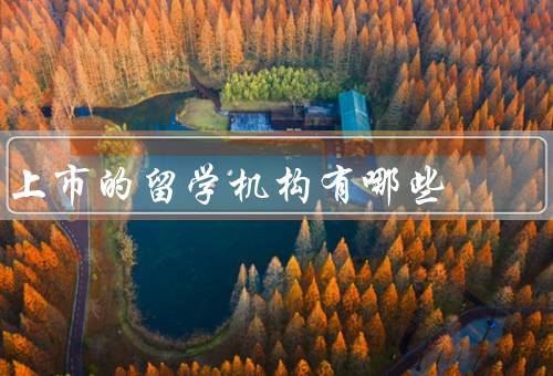 上市的留学机构有哪些，新东方／学而思／留学360