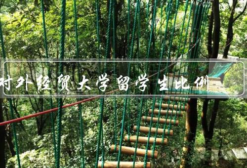 对外经贸大学留学生比例，比例／优势／对外经贸大学的努力