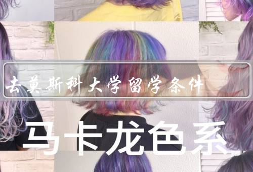 去莫斯科大学留学条件，条件、程序、留学生支持与生活