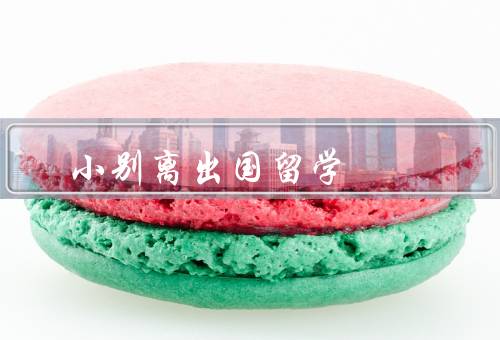 小别离出国留学（影响、启示）
