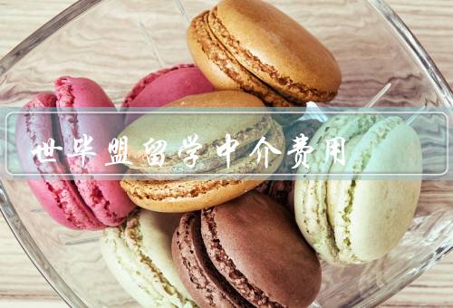 世毕盟留学中介费用，申请费、材料翻译费、签证费