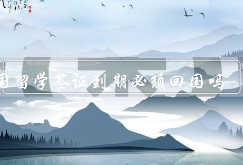 出国留学签证到期必须回国吗（留学签证法律规定、实际情况）