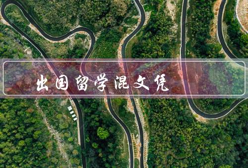 出国留学混文凭，定义／危害／正当留学重要性